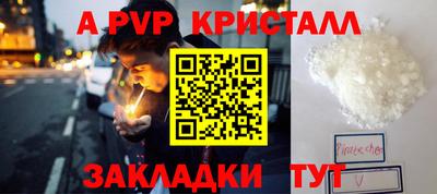 кокс Донской