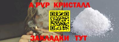 кокс Донской