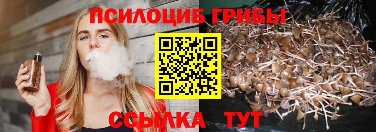Мурино  Галлюциногенные грибы Magic Shrooms  Вход с VPN 