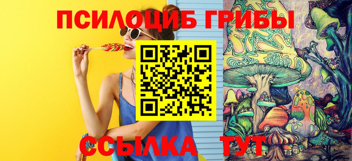 Псилоцибиновые грибы мицелий Мурино
